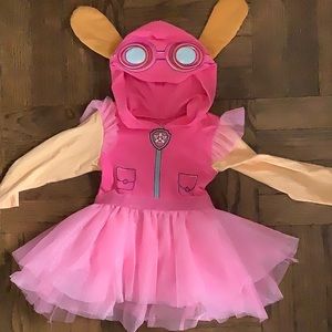 Paw Patrol Skye Outfit